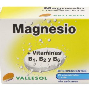 VALLESOL MAGNESIO SERENIDAD 24 COMPRIMIDOS EFERV
