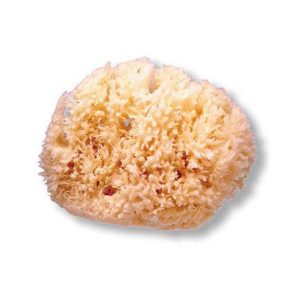 ESPONJA NATURAL SUAVINEX GRANDE